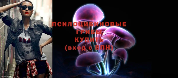 mdpv Горно-Алтайск
